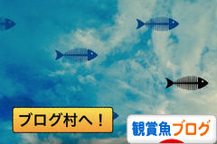 にほんブログ村 観賞魚ブログへ
